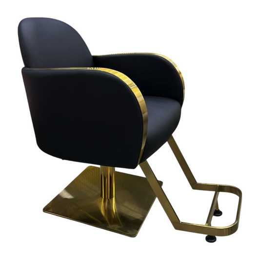 Silla de peluquería importada WL - S2316