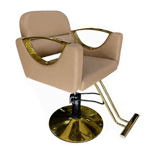 Silla de peluquería importada 68183B