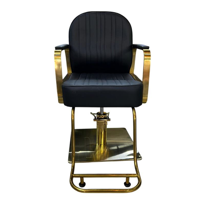 Silla de peluquería importada WL - S218G