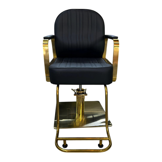Silla de peluquería importada WL - S218G