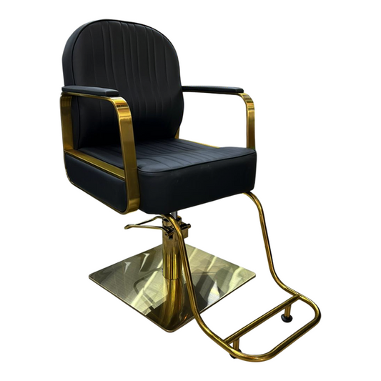 Silla de peluquería importada WL - S218G