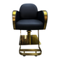 Silla de peluquería importada WL - S2316